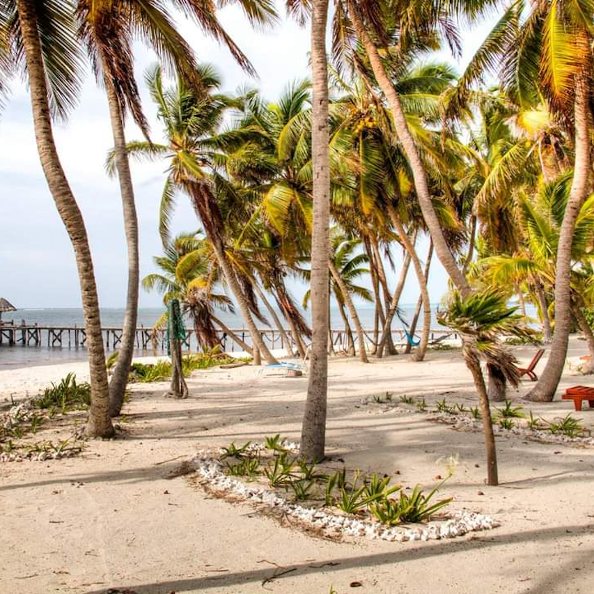 playa beach view