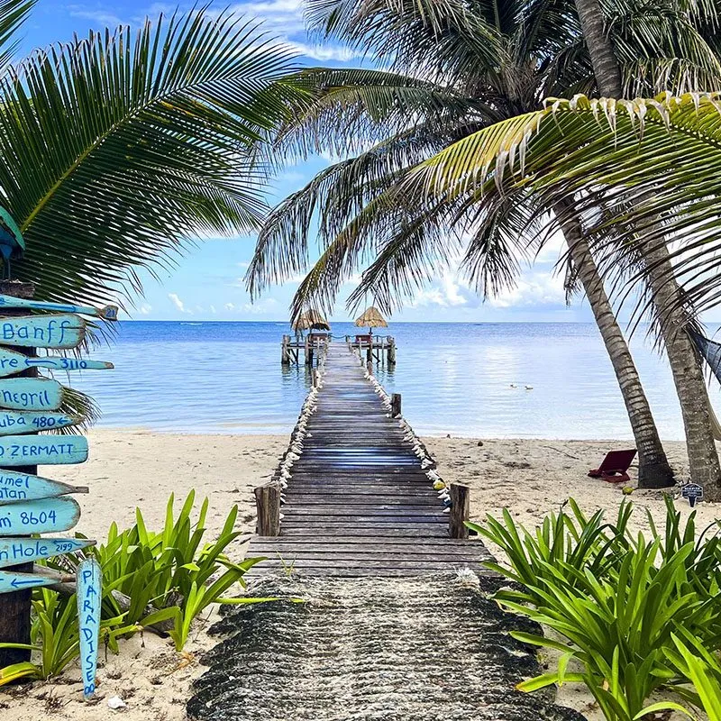 updated playa signs with dock updated playa signs with dock
